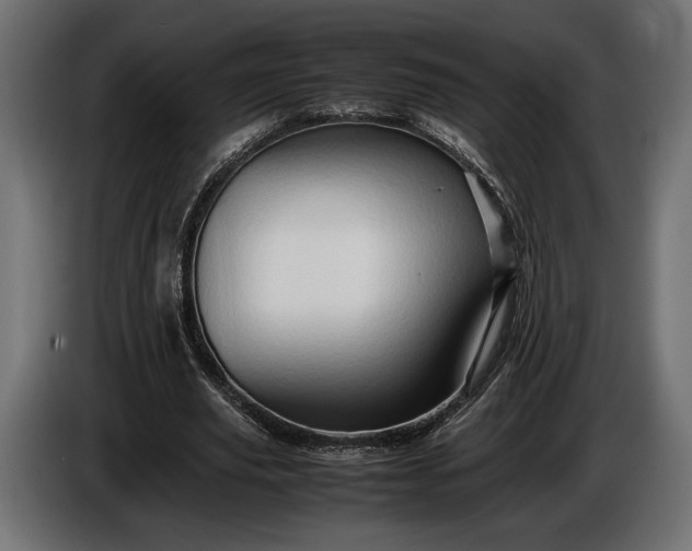 X0000086290629200704131548