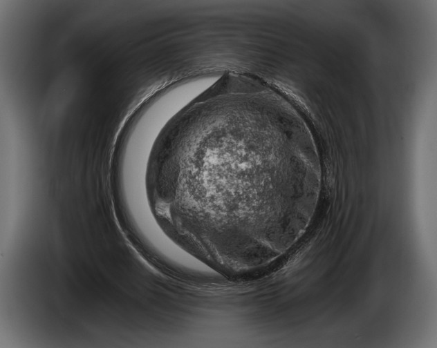 X0000086290630200704131548
