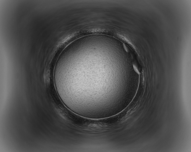 X0000086290631200704131548