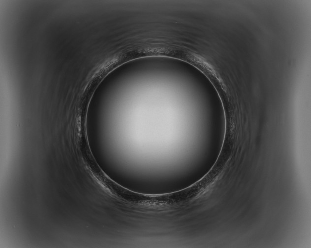 X0000086290633200704131548