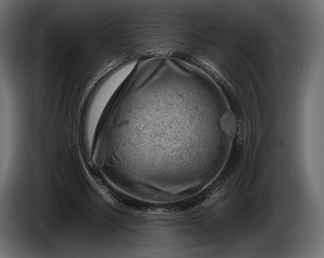 X0000086290634200704131548