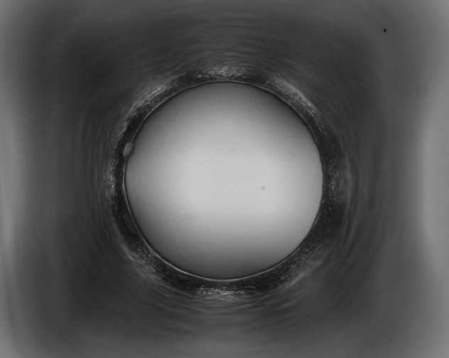 X0000086290635200704131548