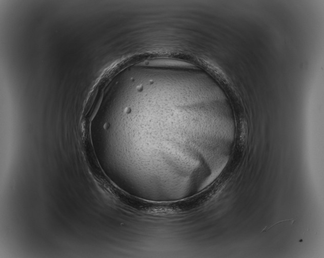 X0000086290636200704131548
