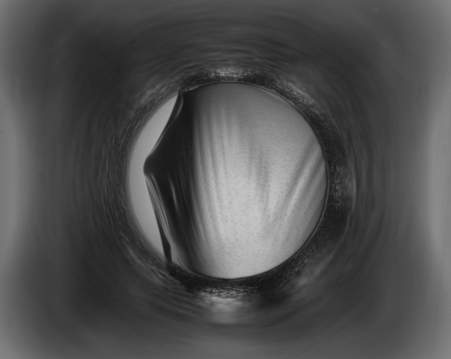X0000086290639200704131548