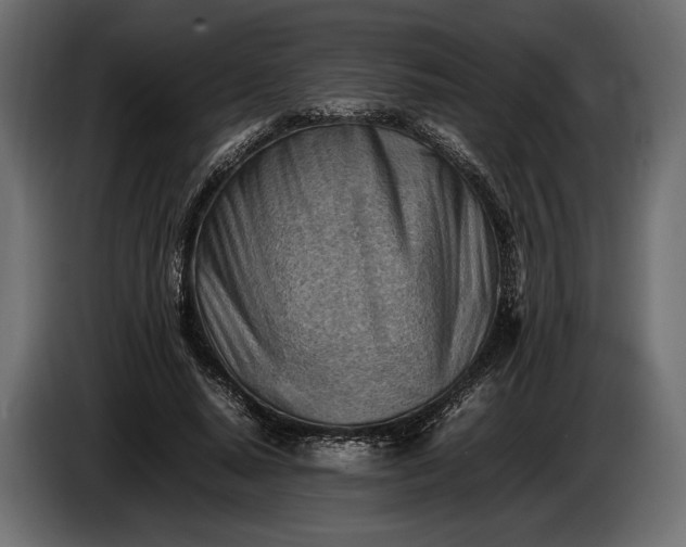 X0000086290640200704131548