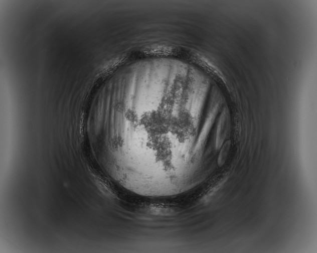 X0000086290641200704131548