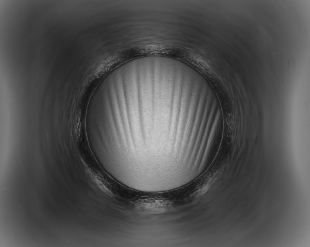 X0000086290642200704131548