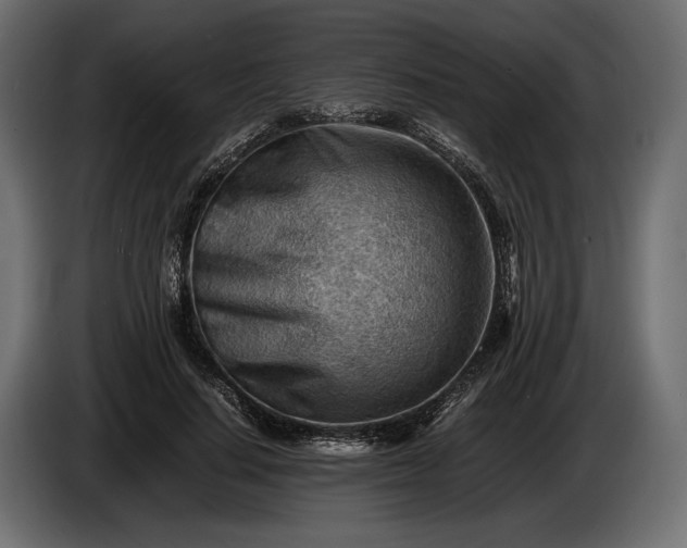 X0000086290644200704131548