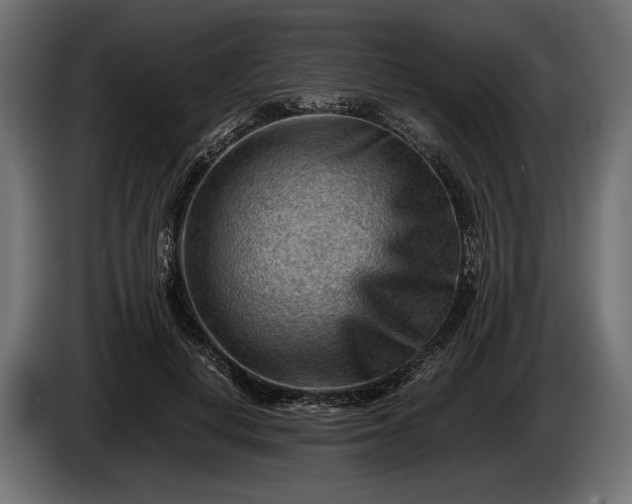 X0000086290648200704131548