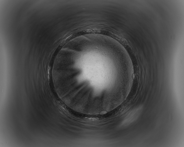X0000086290649200704131548