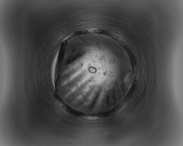 X0000086290650200704131549