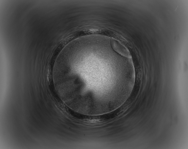 X0000086290651200704131549