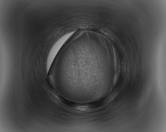 X0000086290653200704131549