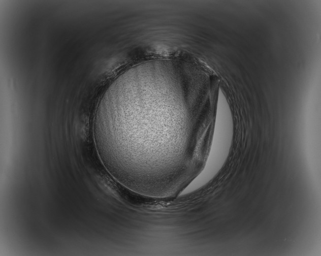 X0000086290656200704131549