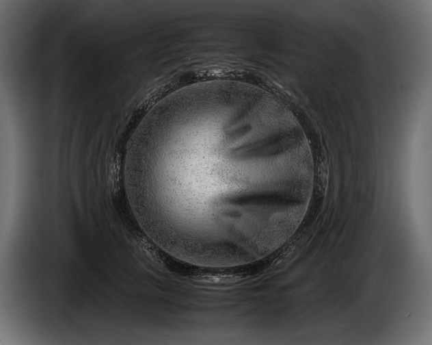 X0000086290657200704131549