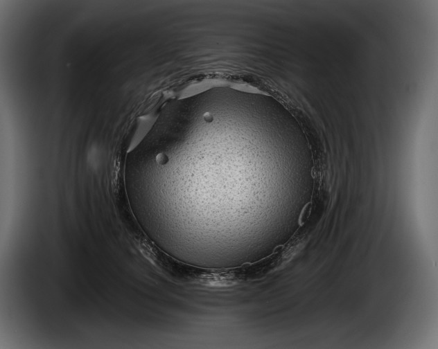 X0000086290660200704131549
