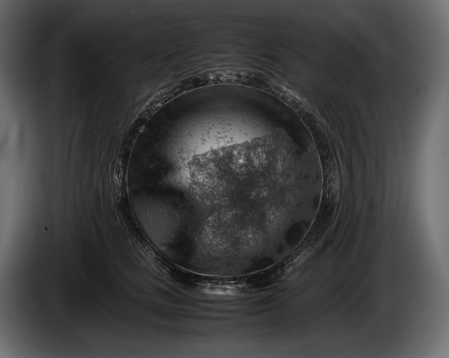 X0000086290661200704131549