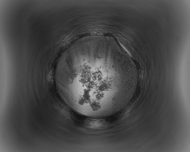 X0000086290663200704131549