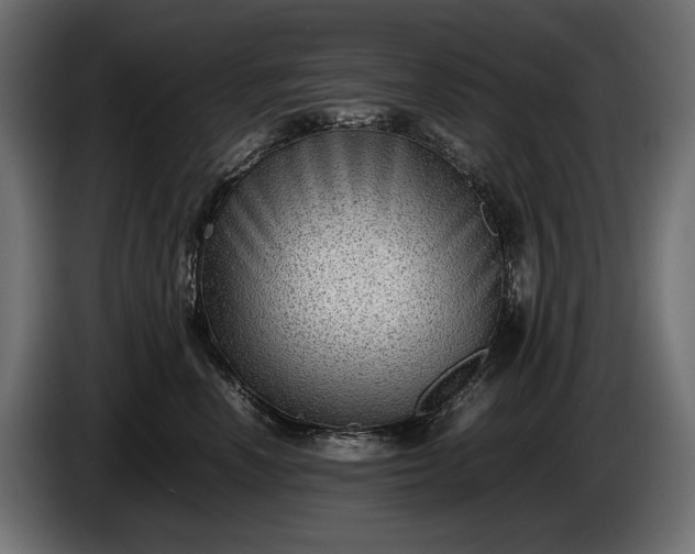 X0000086290666200704131549