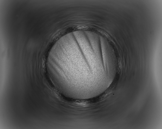 X0000086290667200704131549