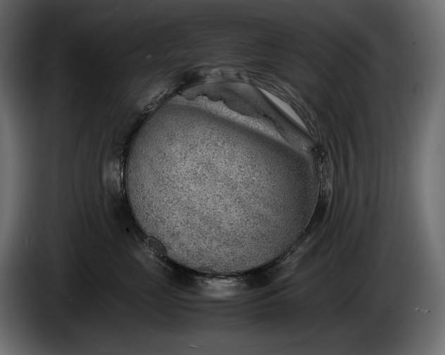 X0000086290669200704131549