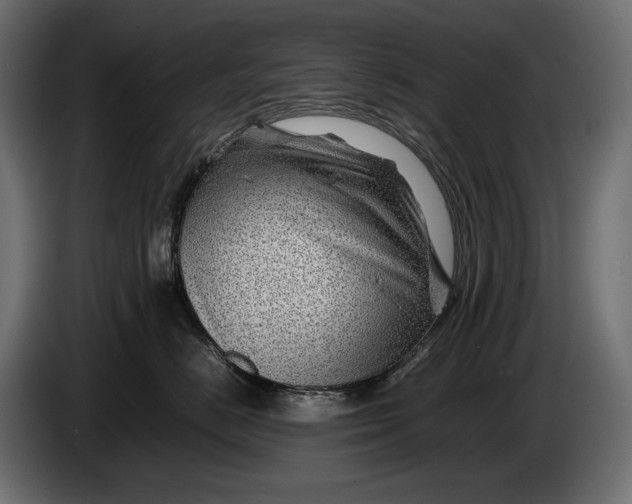 X0000086290670200704131549