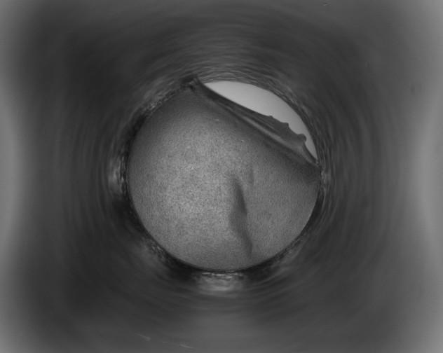 X0000086290671200704131549