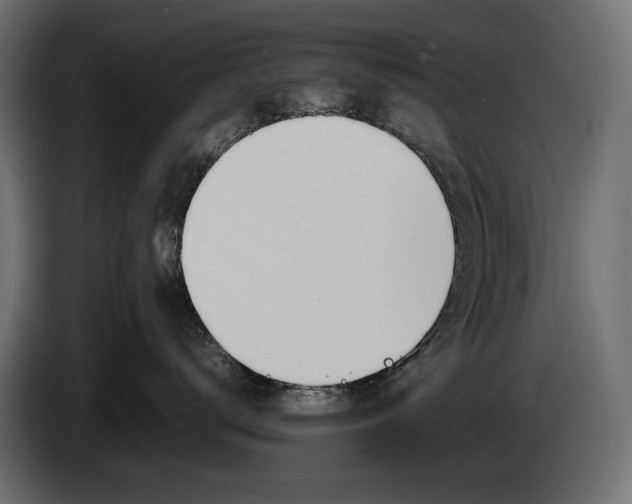 X0000086290672200704131549