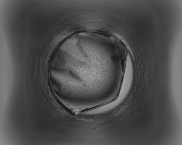 X0000086290673200704131548