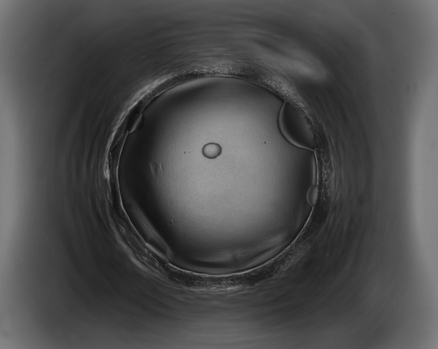 X0000086290674200704131548