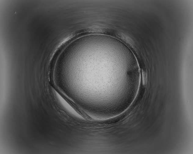 X0000086290675200704131548