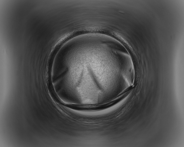 X0000086290677200704131548