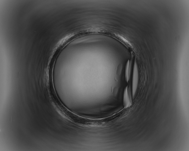 X0000086290678200704131548