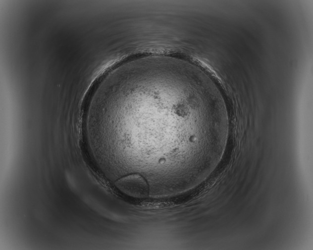 X0000086290679200704131548