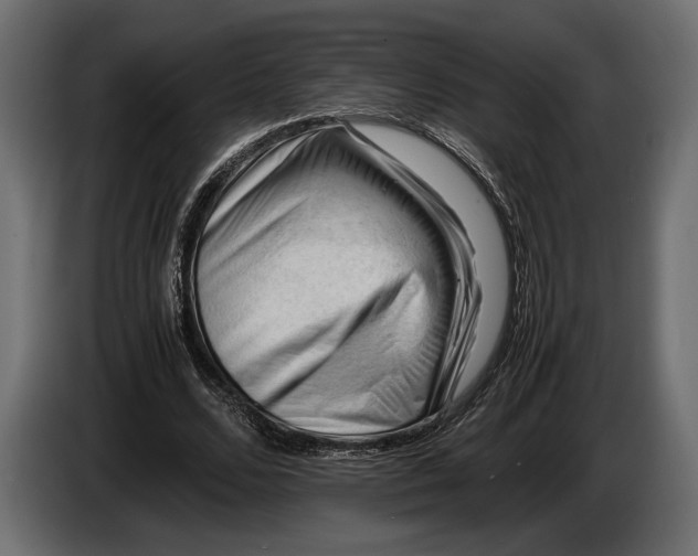 X0000086290680200704131548