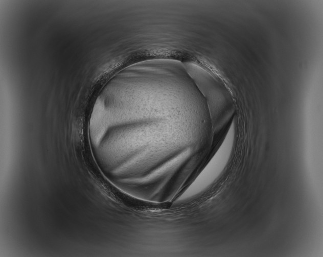 X0000086290681200704131548