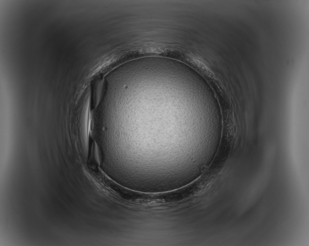 X0000086290683200704131548