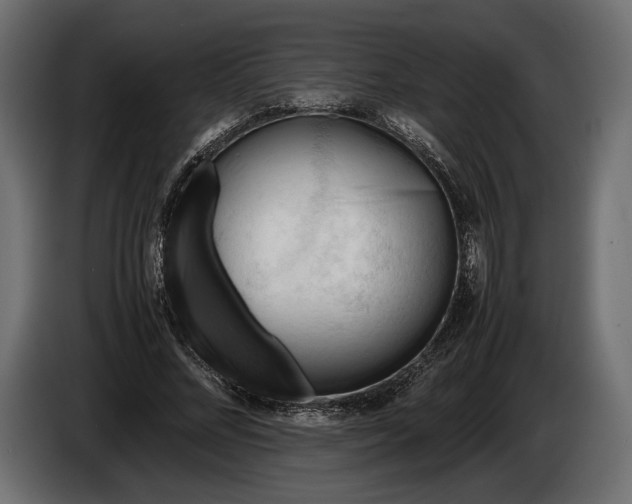 X0000086290684200704131548
