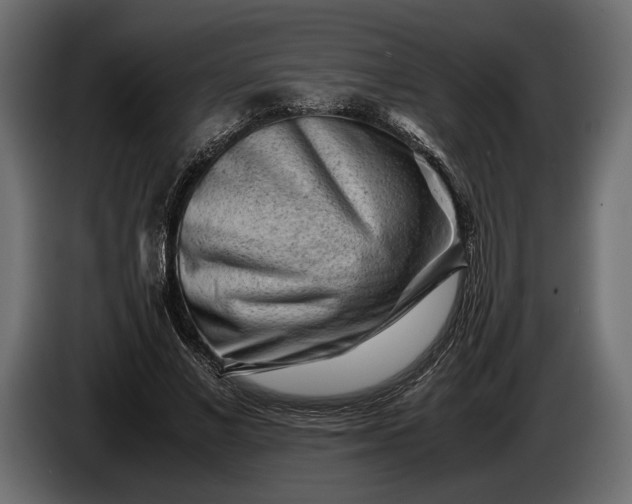 X0000086290685200704131548
