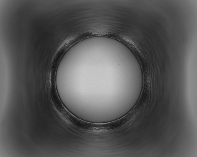 X0000086290686200704131548