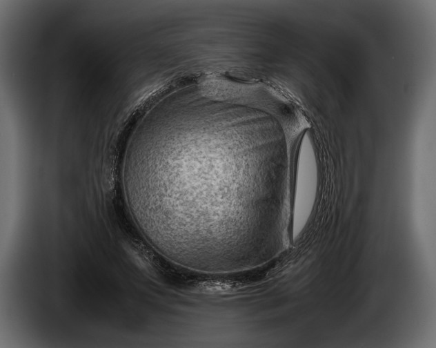 X0000086290687200704131548