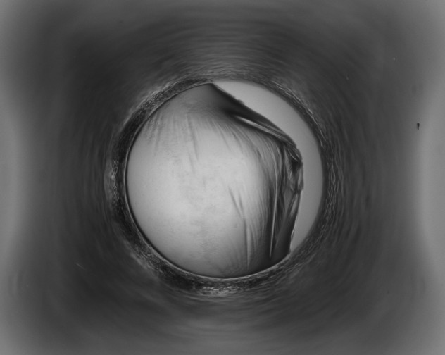X0000086290688200704131548