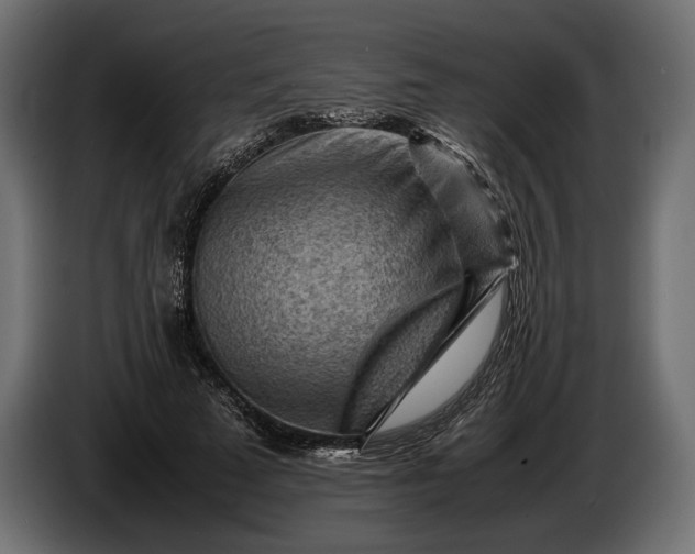 X0000086290689200704131548