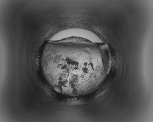 X0000086290691200704131548
