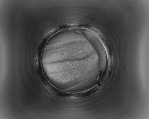 X0000086290692200704131548