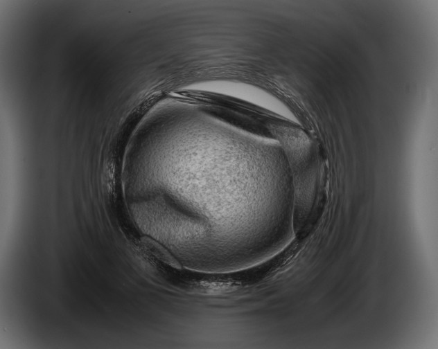 X0000086290693200704131548