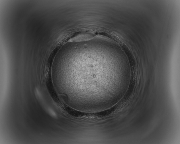 X0000086290695200704131548