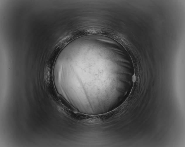 X0000086290696200704131548