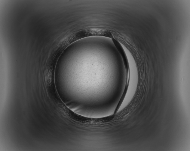 X0000086290697200704131548