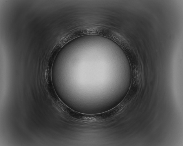 X0000086290698200704131548